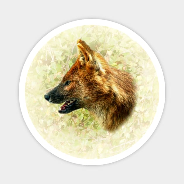 Asian wild dog Magnet by Guardi